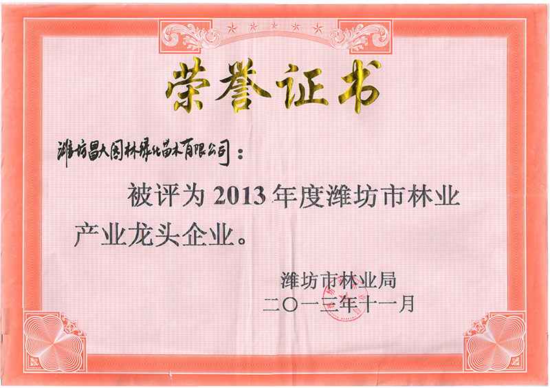2013年度濰坊市林業(yè)產(chǎn)業(yè)龍頭企業(yè).jpg